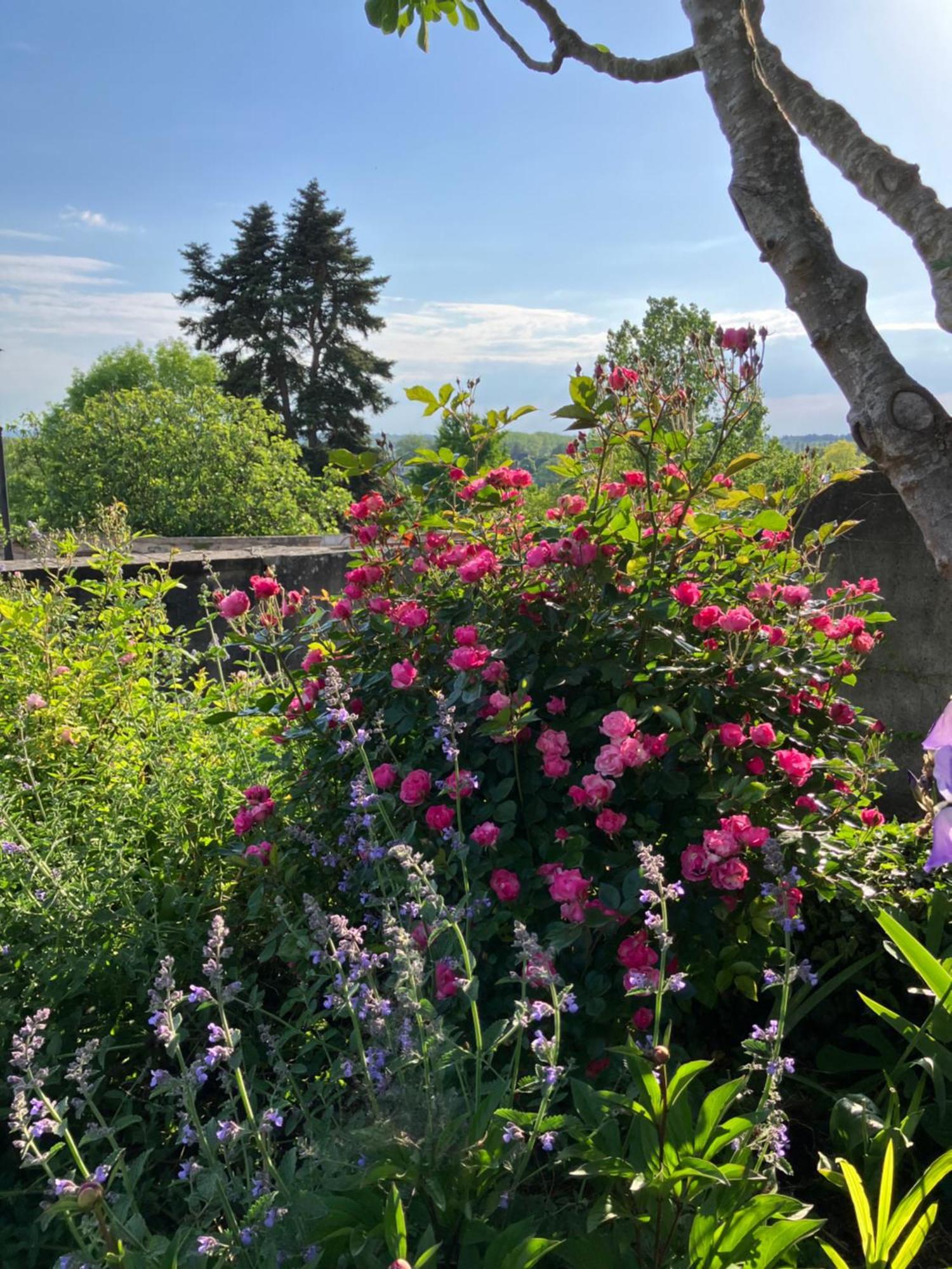 La Villa Lauvray Vétheuil Екстериор снимка